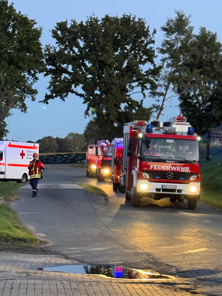 2025 08 24 JF 24 Std Dst16